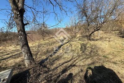 Teren de 3341 mp, în Central - 1