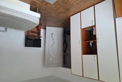 Garsonieră decomandată în Podgoria - 1
