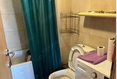 Apartament o camera de inchiriat in zona Aradului - 4