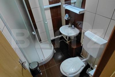 Hotel/Pensiune, în Brazda lui Novac - 12