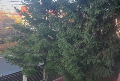 Casă individuală cu 5 camere cu Canalizare în Ultracentral - 14