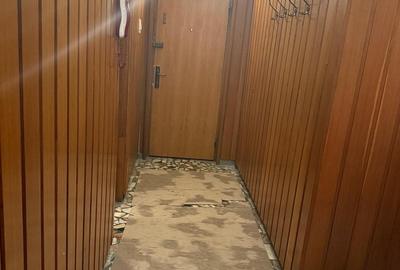 Bucurestii Noi, Pajura - 13