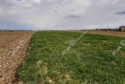 Eren intravilan 1400 mp de pe Valea Avrigului - 3