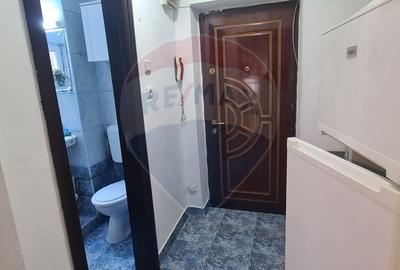 Apartament cu 1 camere semidecomandat, mobilat în Pantelimon - 9