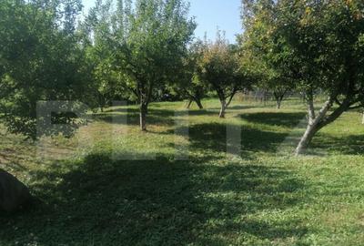 Casa cu arhitectura deosebita, iaz, panouri solare, 370mp, z - 4