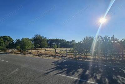 Teren de 24472 mp, în Runcu - 3