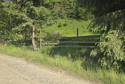 Teren de 1000 mp, în Colibița - 5