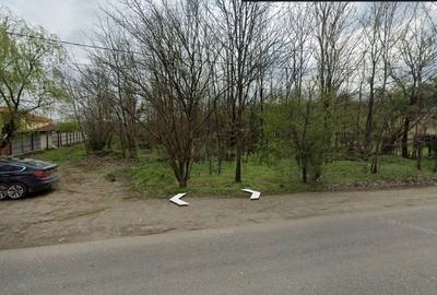 Teren agricol intravilan de 5000 mp, în Malu Spart - 5