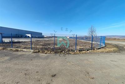 Spațiu industrial, de 5,500 mp, în Feldioara - 8