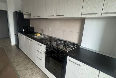 Apartament cu 2 camere decomandat, mobilat în Albert - 9
