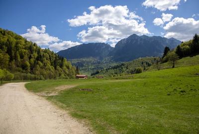 Teren Construcții extravilan de 1893 mp, în Plaiul Foii - 9