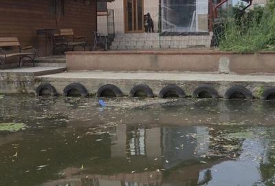 Spațiu comercial, în Snagov - 4