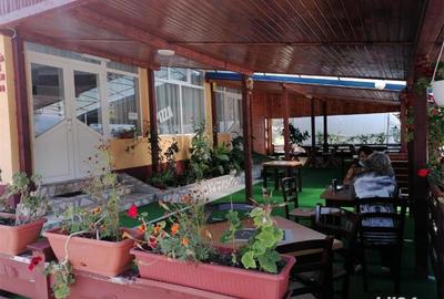 Spațiu comercial, de 500 mp, în Baia de Fier - 9