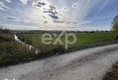 Teren de 20000 mp, în Budeasa - 6