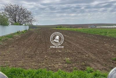 Teren de 5000 mp, în Dumești - 3