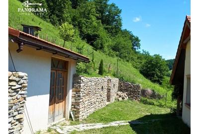 Refugiu elegant la marginea Sighisoarei - 30