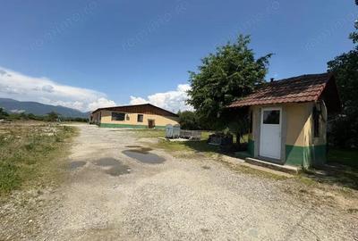 Vanzare complex industrial *hala 682 mp + teren 2,5 ha* - Tetila - 9