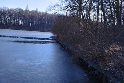Teren intravilan de 4800 mp, în Snagov