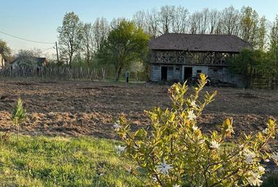 Spațiu comercial, în Dănicei - 1