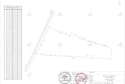 Teren intravilan de vânzare - 41 hectare, Adunații Copăceni, Giurgiu - 3