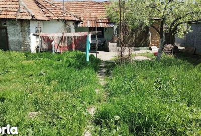Teren de 410 mp, în Palazu Mare - 3