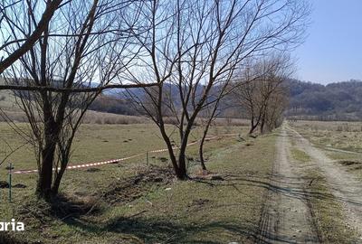 Teren de 2500 mp, în Central - 1