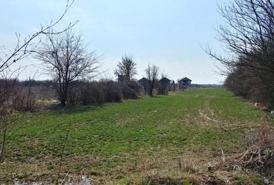 Teren în Măgurele - 11