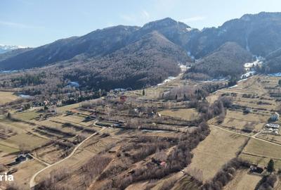 Spațiu comercial, în Predeluț - 18