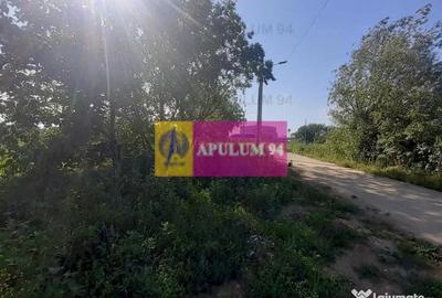 Teren de 5000 mp, în Copăceni - 8