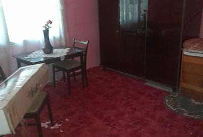 Casă cu 2 camere în Vața de Jos - 13