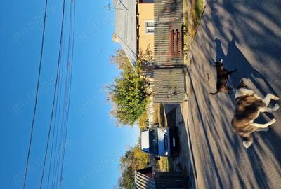 Vind casa scortaru nou. In centru.2000.mp - 1