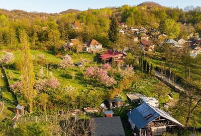 Teren intravilan de 1626 mp, în Slănic - 5