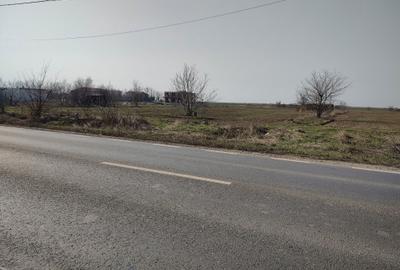 Teren de 5000 mp, în Frumușani - 9