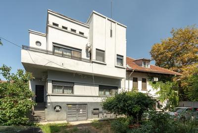 O vila cu prestanta, in Cismigiu - 40