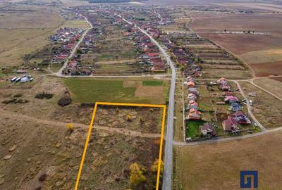 Teren Construcții extravilan de 19000 mp, în Pișchia - 7