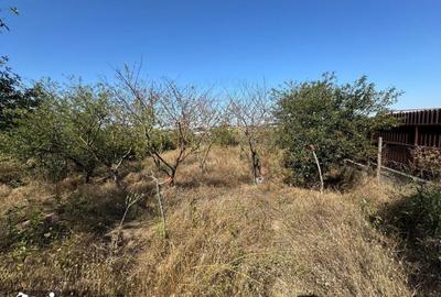 Casă cu 2 camere cu Teren 2000 Mp în Central - 8