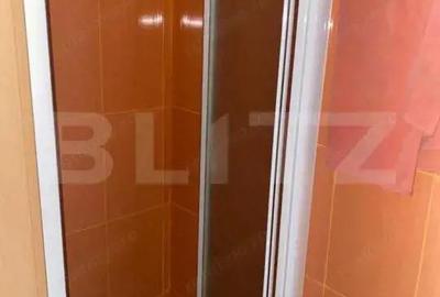 Apartament cu 3 camere semidecomandat în Cugir - 4