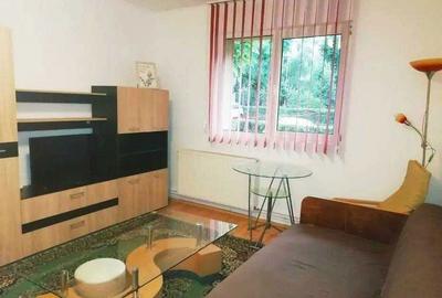 Apartament cu 2 camere semidecomandat în Noua - 3