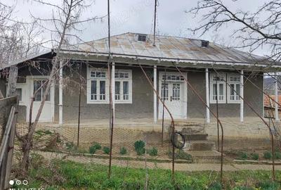 Casă cu Teren 3000 Mp în Moscu - 9