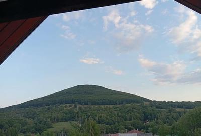 Casă cu 2 camere cu Teren 250 Mp în Ozun - 5