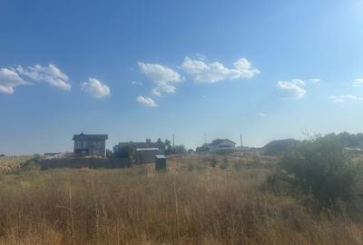 Teren Construcții intravilan de 500 mp, în Malu Mare - 2