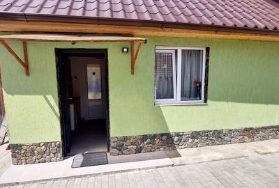 Casa 4 camere suprafata utila 126mp, teren 1600mp, spre vanzare in Seica Mare - 16