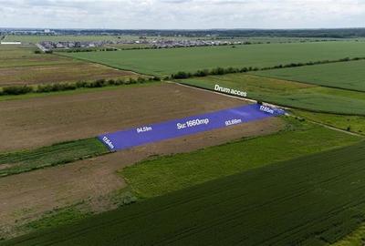 BUFTEA FLAMANZENI,TEREN INTRAVILAN 1660 MP,DESCHIDERE 17 M,ASFALT 70 M - 5