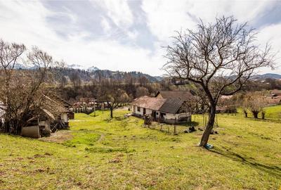 FILM! Pe domeniu de 6.500 mp teren, casa parinteasca, in mag - 5