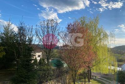 Hala industriala + teren Pausesti Valcea - 4