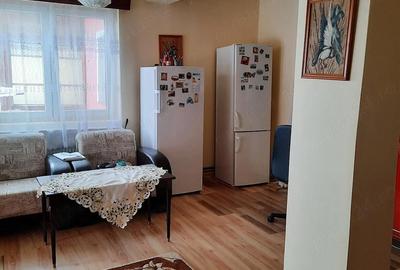 Casă cu 3 camere cu Teren 3505 Mp în Bretea Română - 4