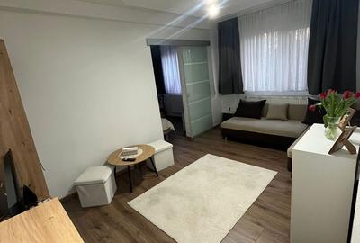 Apartament cu 2 camere semidecomandat în Central - 13