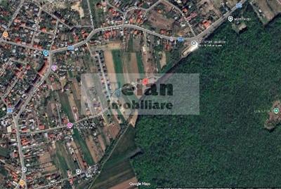 Teren Construcții intravilan de 3200 mp, în Snagov - 12