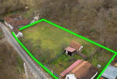 RECO Casa de vacanta la Holod- langa padure- teren 2190mp - 5