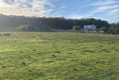 Domnesti, padurea Teghes - 5